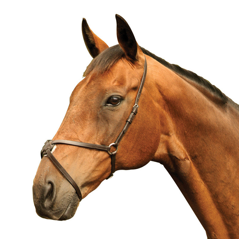 Mackey Classic Grackle Noseband - Brown