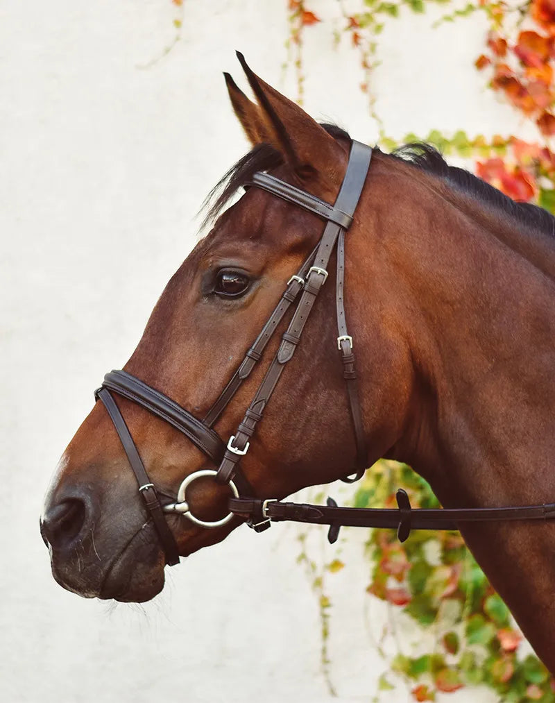Equisential Bridle & Rein Set (Multiple Options)