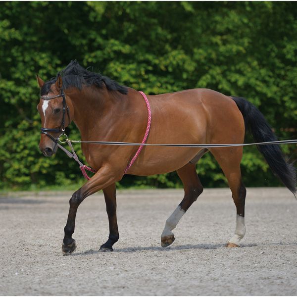 Lunging Aid - Full - Red/Grey
