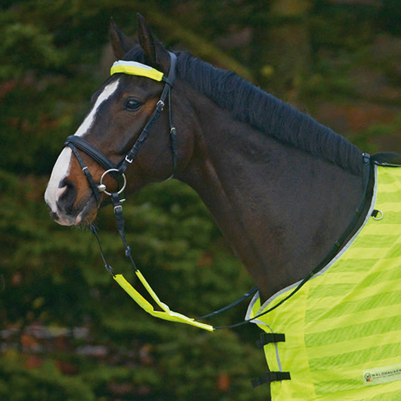 Reflex Bridle Set - Neon Yellow