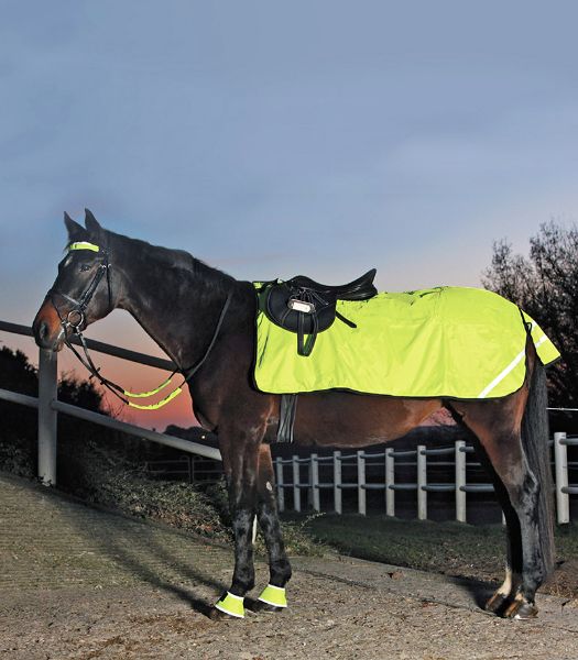 Hi-Viz Exercise Sheet