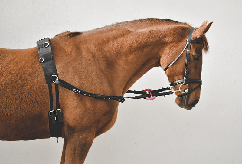 Nylon Side Reins - Black