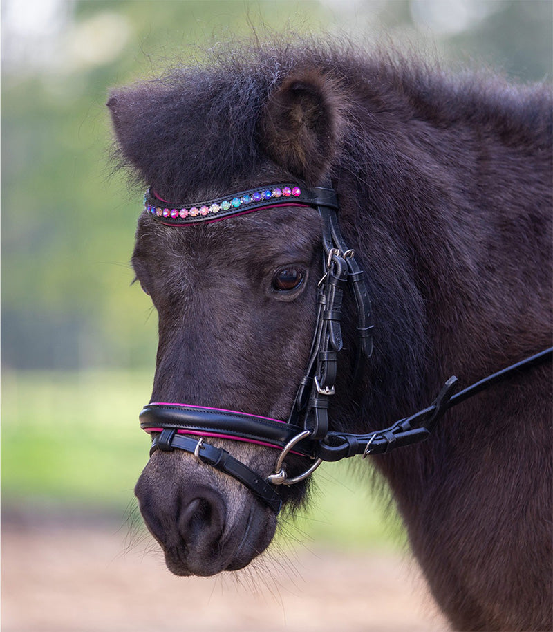 Star Bridle Pinky - Pony - Black