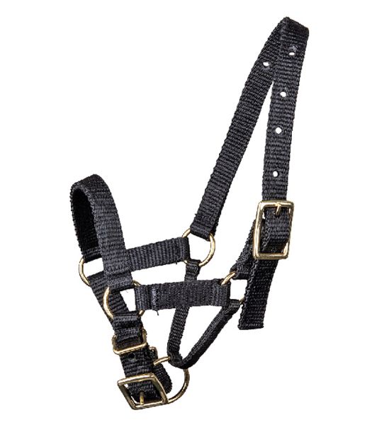 Alpaca Headcollar Black