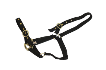 Nylon Headcollar Suckling