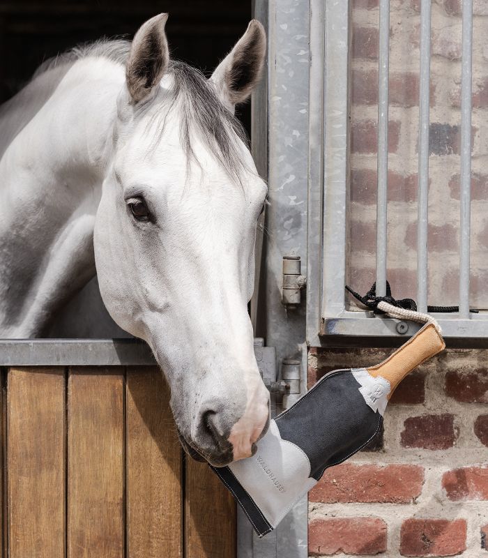 Horse Stable Toy - Champagne Bottle
