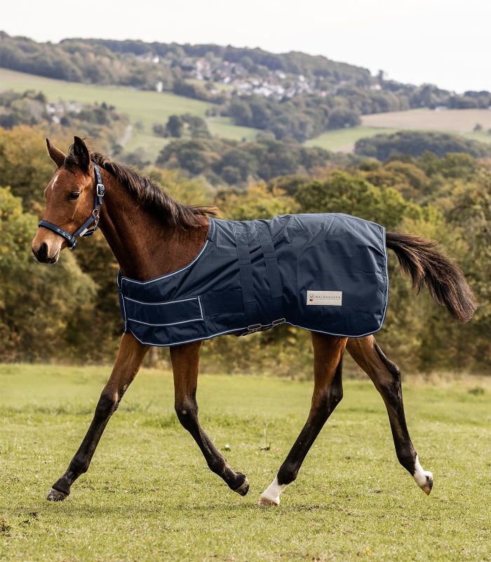 Foal Turnout Rug - Navy