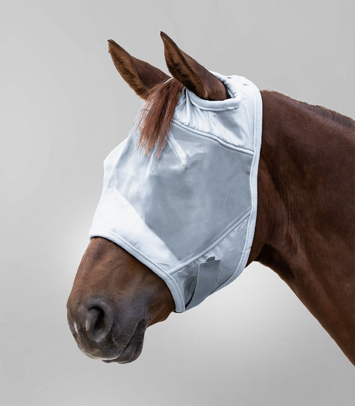 Premium Fly Mask Without Ears