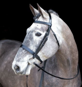 Mackey Classic Hunt Bridle