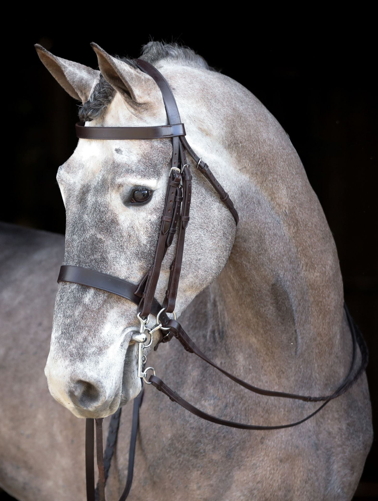 Mackey Double Bridle