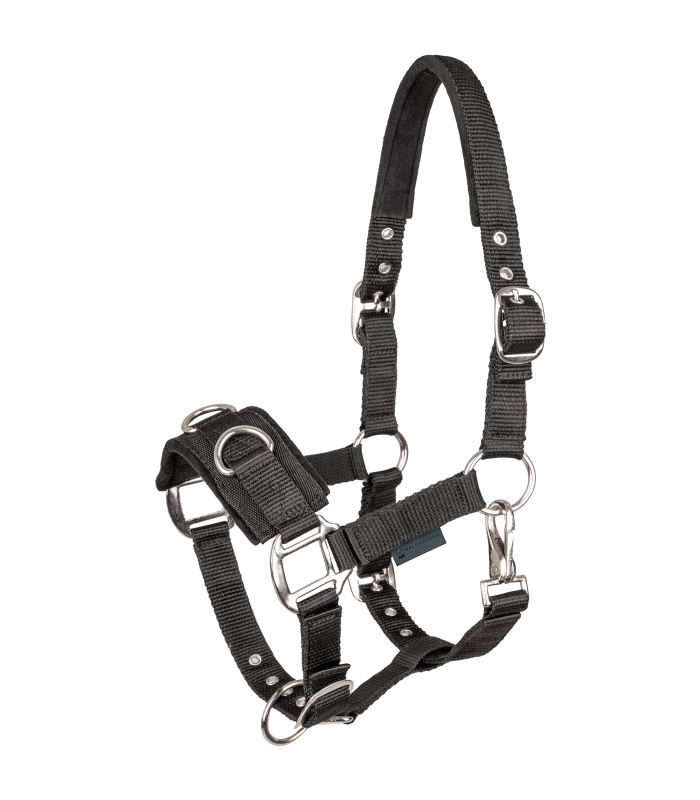 Lunging Halter - Full - Black