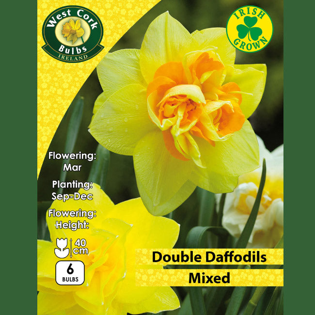 Mixed Daffodils 3kg Net 12/14