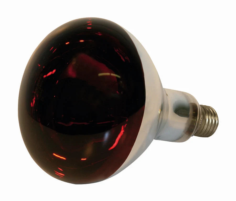 250W Red Infrared Heat Bulb
