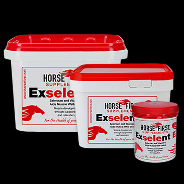 EXSELENT E 3KG