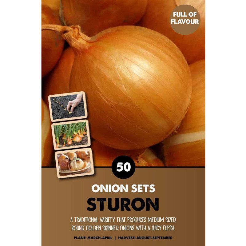 Onion Sets 500g