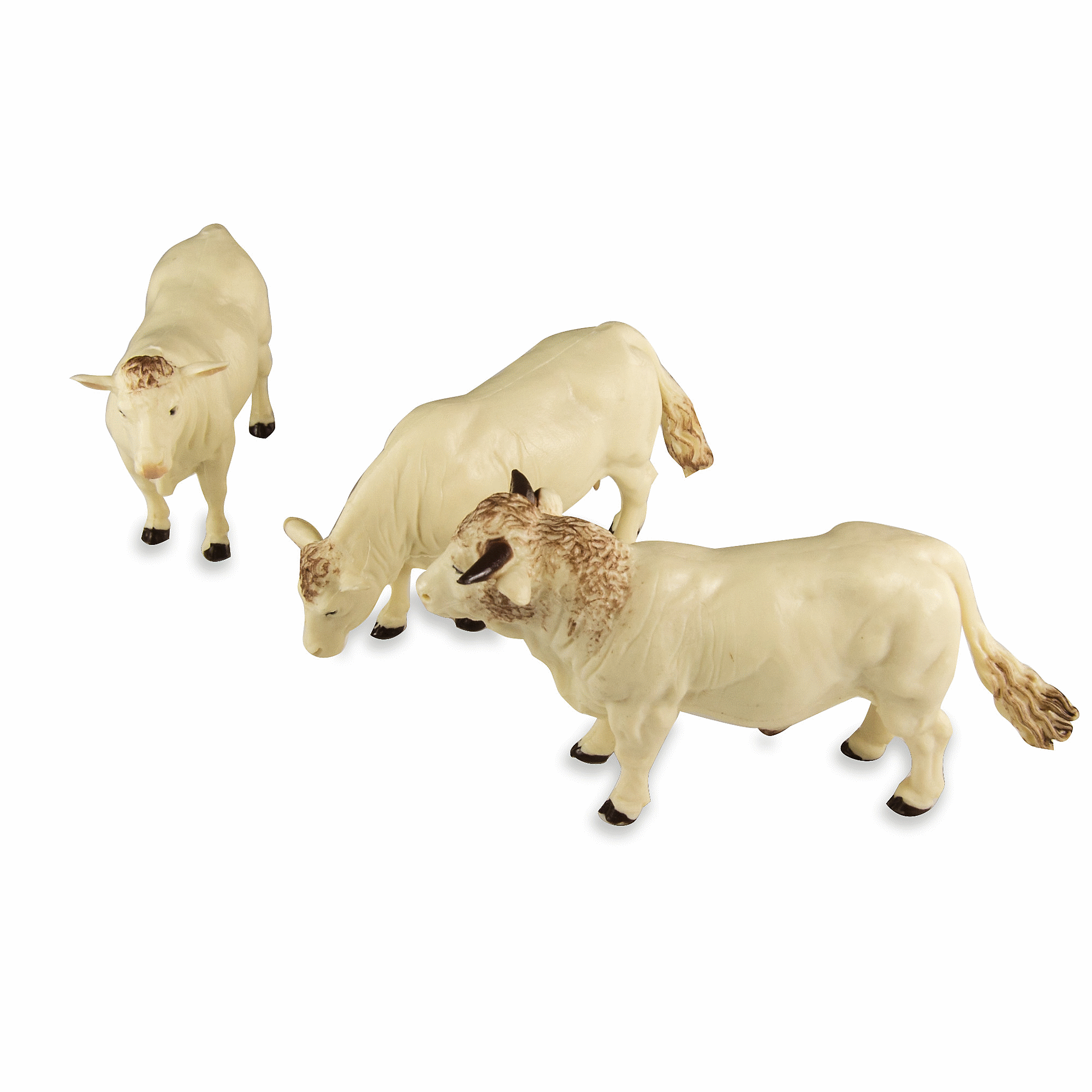 COW SET CHAROLAIS
