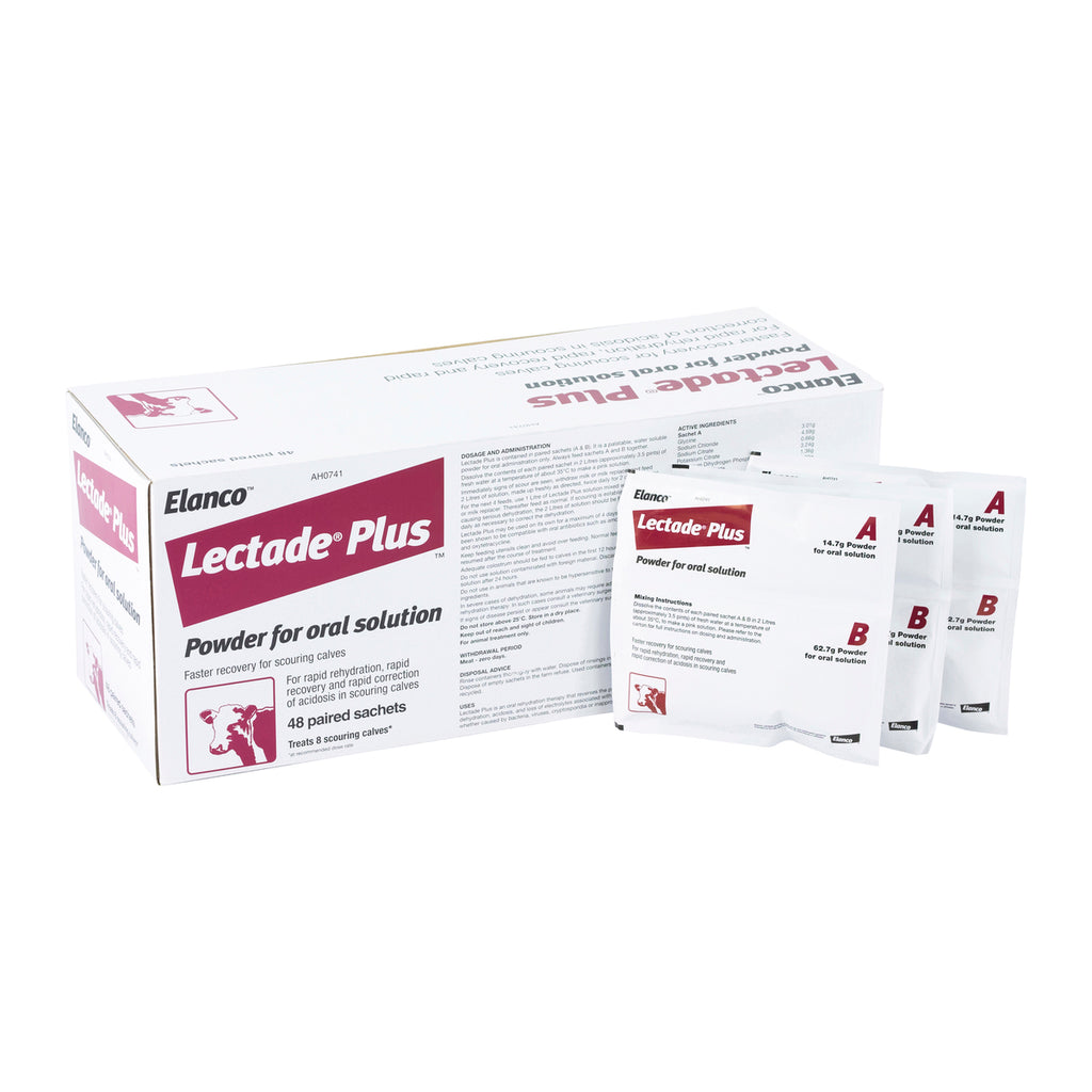 Lectade LECTADE PLUS SACHET EACH