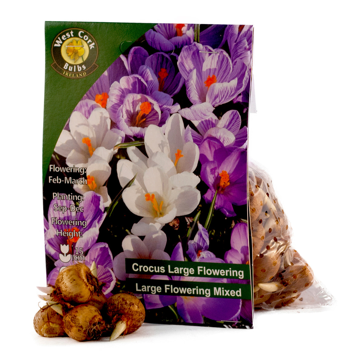 Crocus Large Mixed – 50 Bulbs 7/8