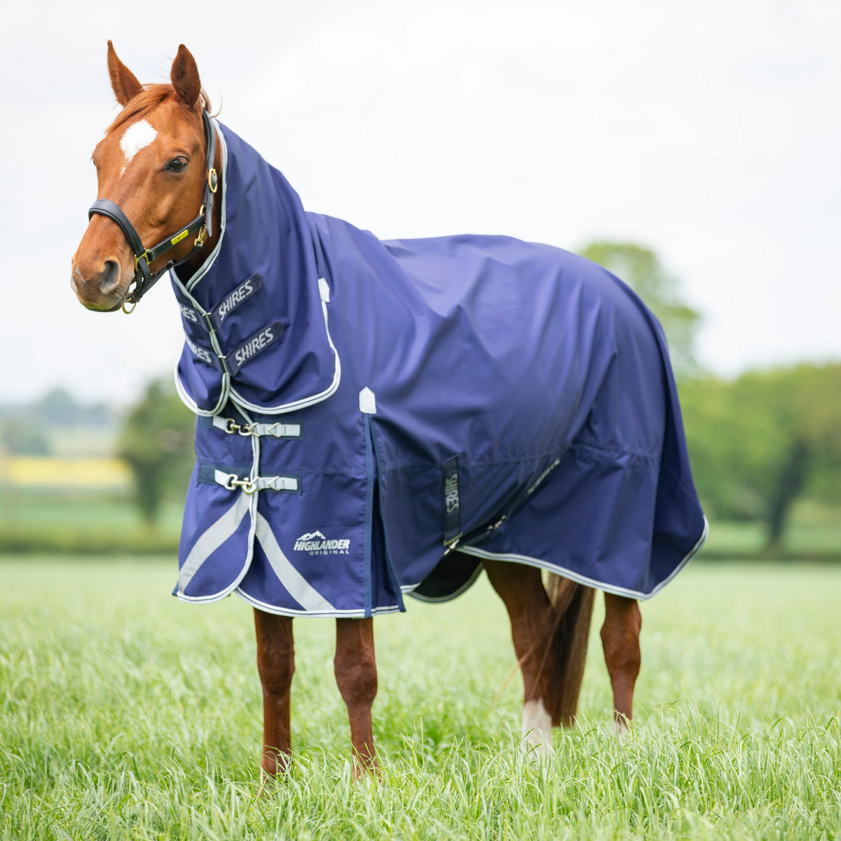 Shires Highlander Combo Lite Turnout Rug