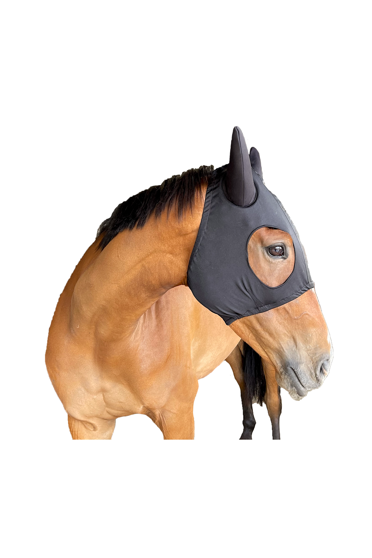 Breeze Up “Whisper” lycra Hood Black