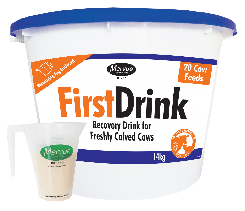 First Drink Recovery Drink for Freshly calved cows