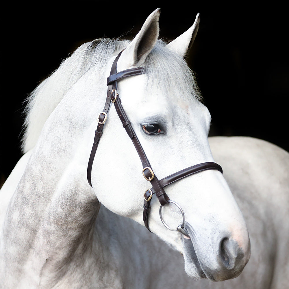 Mackey Classic In-Hand Bridle - Brown