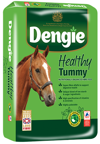 Healthy Tummy 15kg