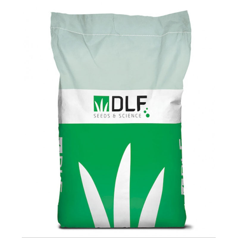 DLF Perennial Special Mix