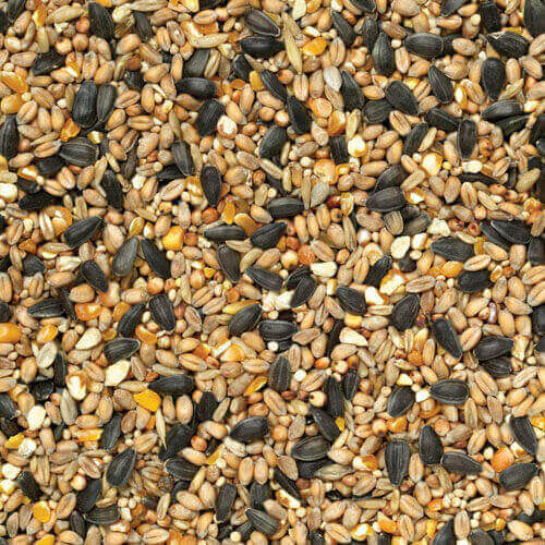 Wild Bird Mix 20kg