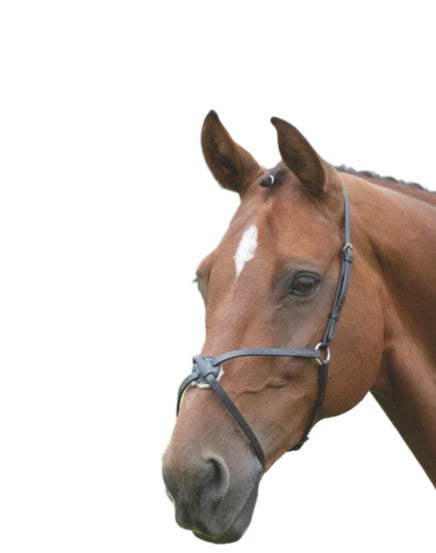 Mackey Classic Grackle Noseband