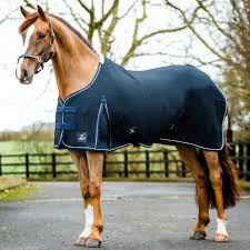 Mackey Shannon Air Cooler Rug