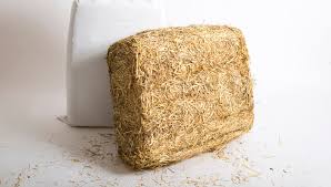 Haylage Kingsfield / Gelston Horse