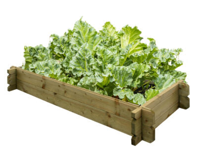 Backyard Raised Beds Black / Natural