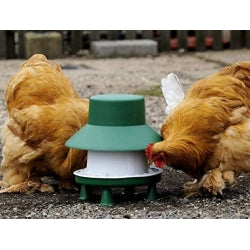 Blenheim Poultry Feeder 6kg