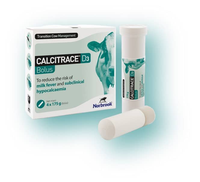 Calcitrace Bolus (4 x 175g)