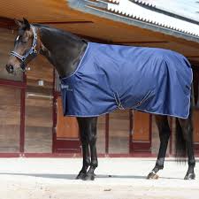 Bucas Stable Rug 300g