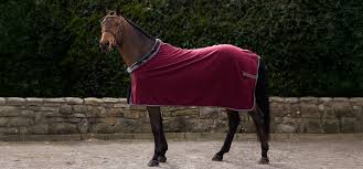 Bucas Show Fleece Burgundy