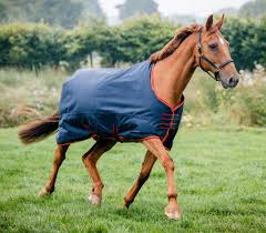 Equisential Turnout Rug Standard Medium