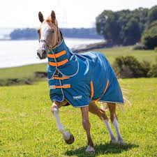 Shires Tempest Lite With Neck