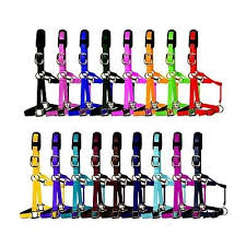 KM Elite Padded Headcollar