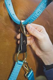 Avienmore Shires Gara Headcollar Breakaway Attachment 3/4"