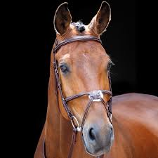 Shires Sailsbury Mexican Bridle