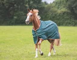 Shires Typhoon Turnout Lite
