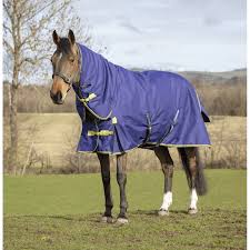 Shires Asker Combo Turnout Rug 200g