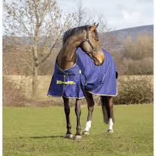 Shires Asker Turnout Rug 200g