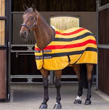 Shires Newmarket Fleece Rug