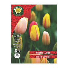 Tulip Single Mixed 25 Bulbs