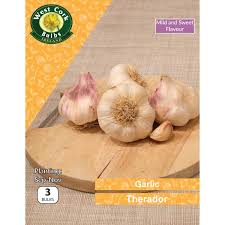 Garlic Therador