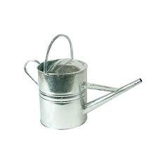 Galvanised Watering Can