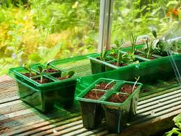 Gro-Sure VisiRoot Windowsill Propagator